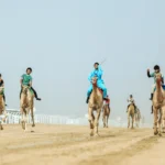 Saudi Federation Cup for Camels - كأس الاتحاد السعودي للهجن