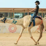 His Highness the Crown Prince of Dubai Festival - مهرجان سمو ولي عهد دبي