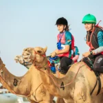 The 22nd annual Kuwait International Camel Racing Championship - بطولة الكويت الدولية السنوية ال 22 لسباقات الهجن
