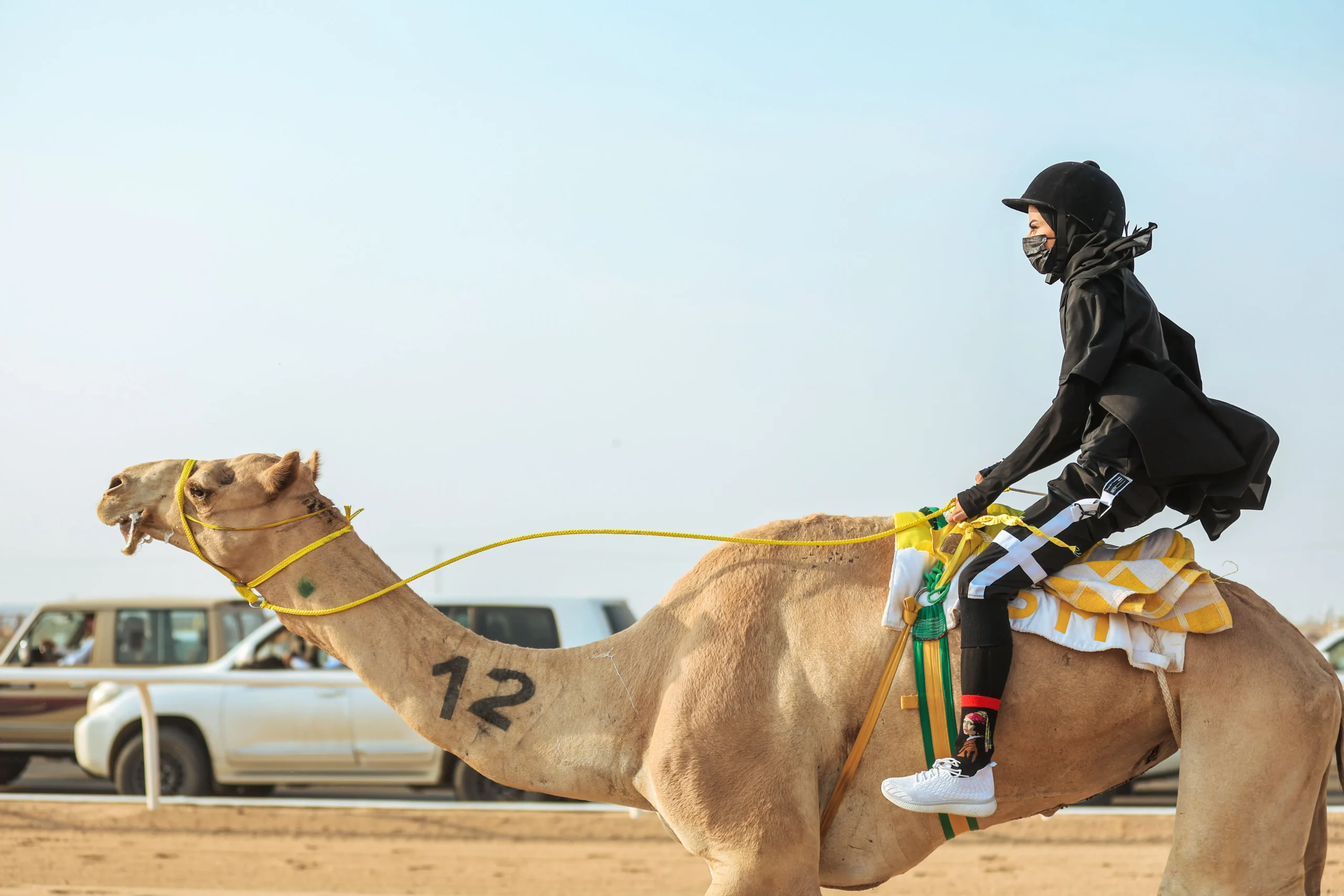 Crown Prince Camel Festival - مهرجان ولي العهد للهجن